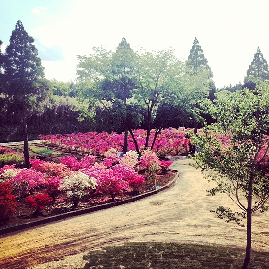 写真 写真