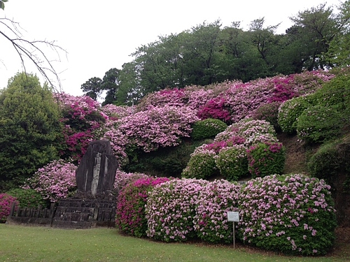 写真 写真