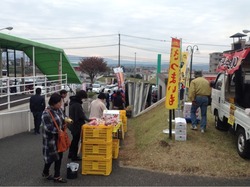 2014-11-16-10-11-47