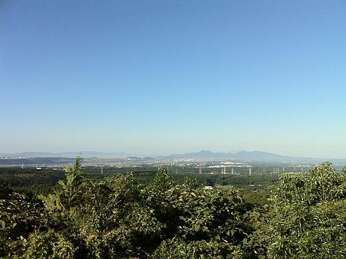 矢護山 矢護山