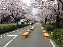 2014-03-29-09-13-46
