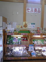 DVC00331
