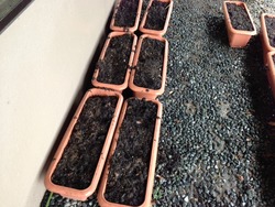__ 2 (1)