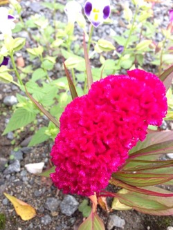 2014-09-25-09-51-08