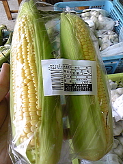 �������ȥ�����