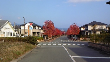 DVC00189