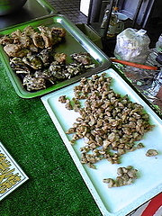 ���٥�Ƚ�����