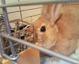 ���ޤ����ޤ�