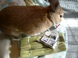 すりすり