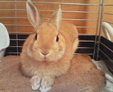 �������äƤޤ�