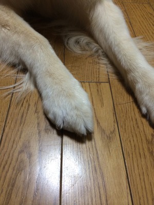 030