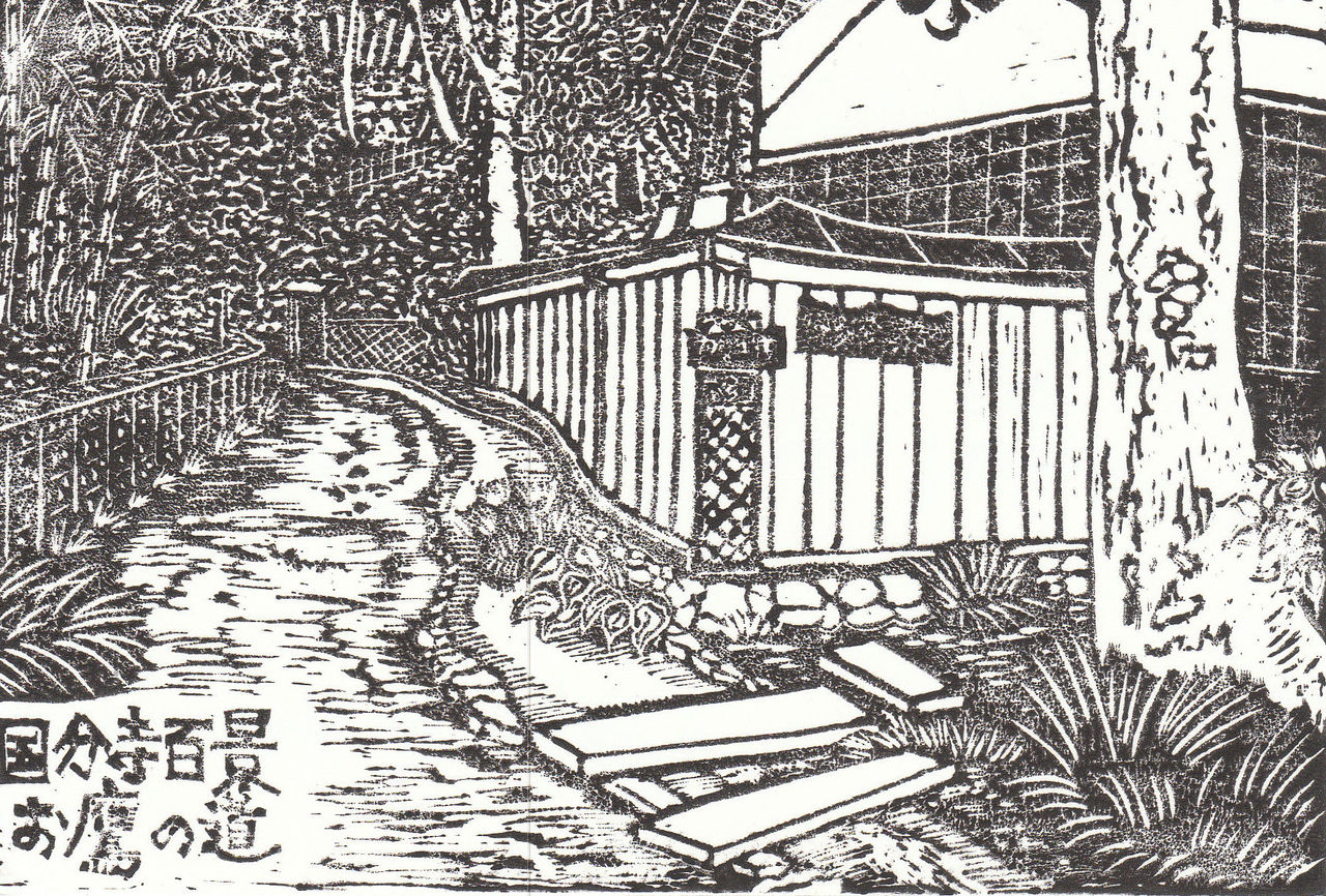 3042576b.jpg