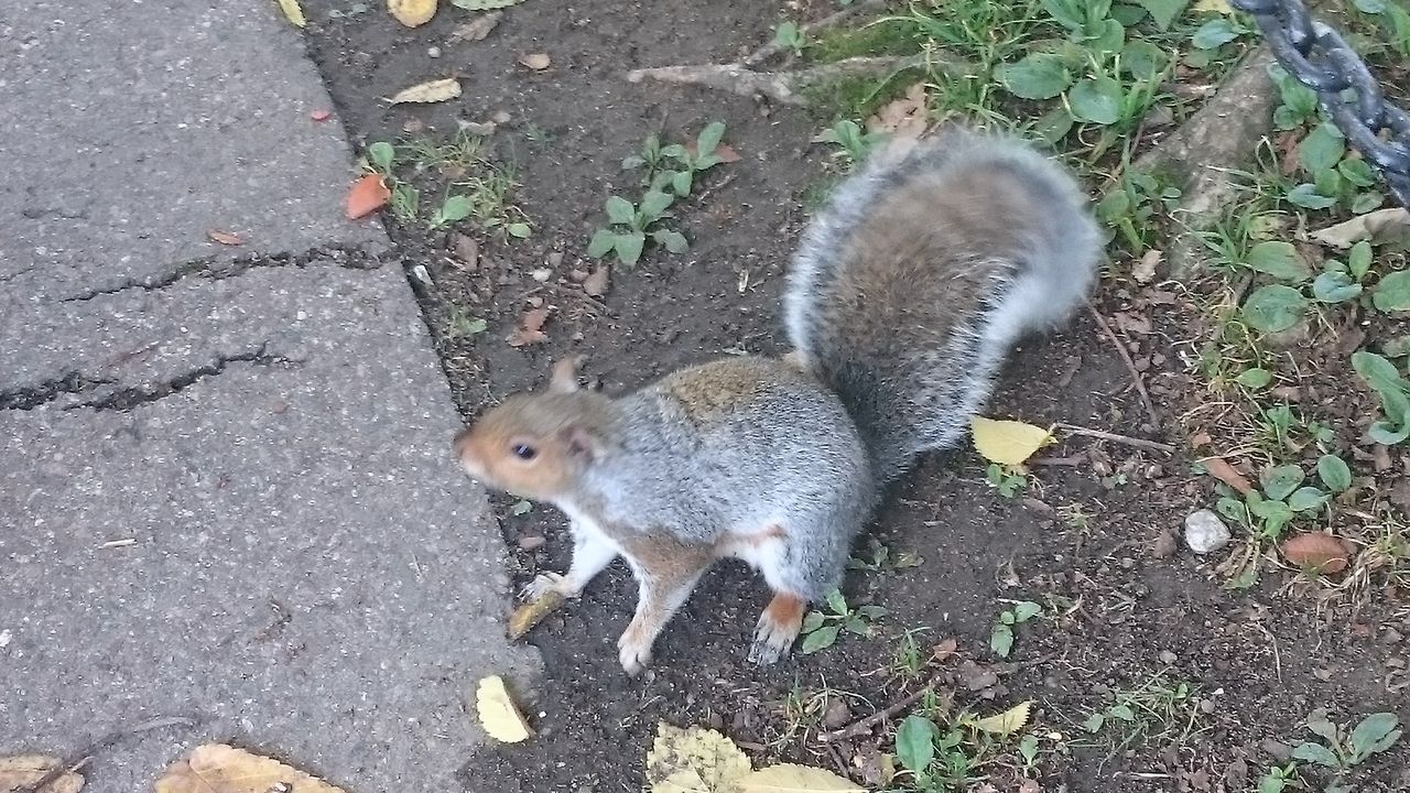 DSC_1011