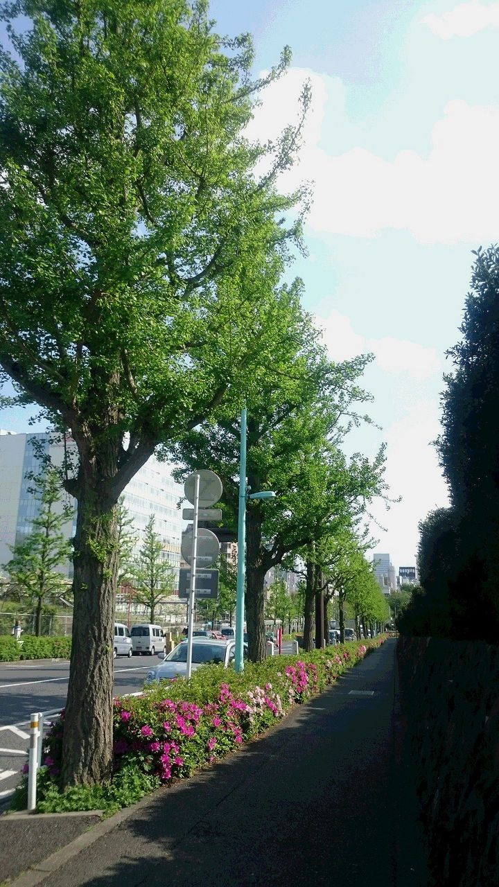 5f152209.jpg