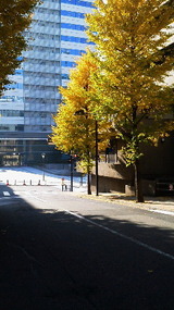 84f5922f.jpg