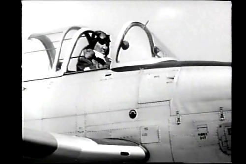 ¡ÖÉð»ÎÆ»»Ä¹óʪ¸ì¡×¦