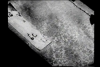 ¡ÖÉð»ÎÆ»»Ä¹óʪ¸ì¡×£-1