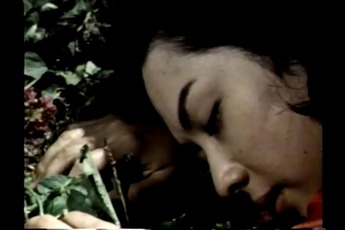 ¡Ö¸ÞÈÖĮͼ̸ϰ¡×¤-25