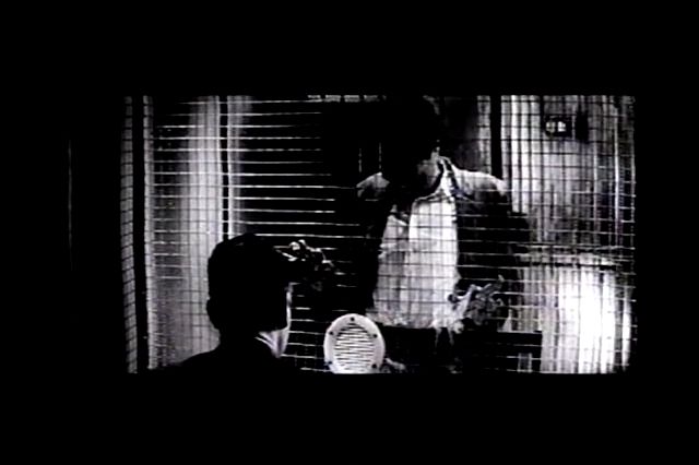 ¡ÖÅ·¹ñ¤ÈÃϹö¡×¤