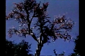 ¡Ö¸ÞÈÖĮͼ̸ϰ¡×¡-2