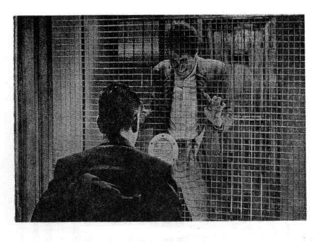 ¡ÖÅ·¹ñ¤ÈÃϹö¡×¥-6