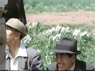 幻映画館（82）「裸の大将」 : ふらり道草―幻映画館―