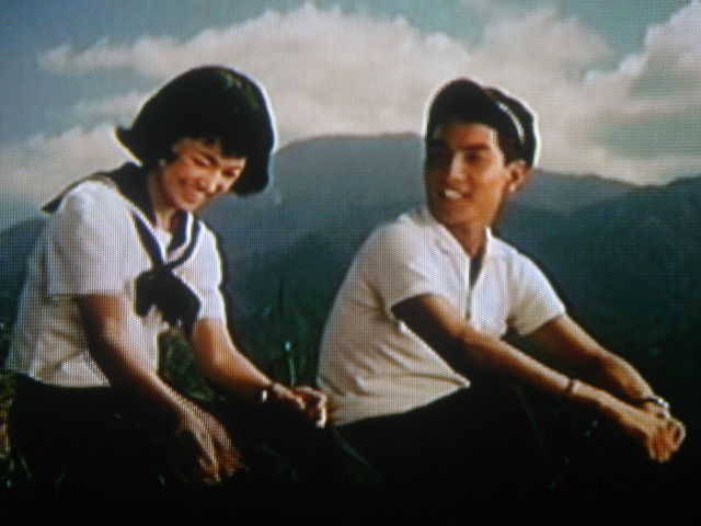 幻映画館 22 青い山脈 ふらり道草 幻映画館 幻映画館 22 青い山脈 ふらり道草 幻映画館