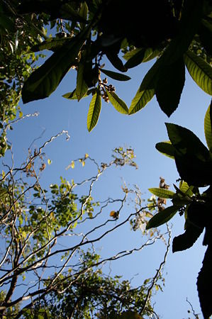 �Τ�̴֤ˤۤ���Ȼ��ꤷ���Ǥβ�