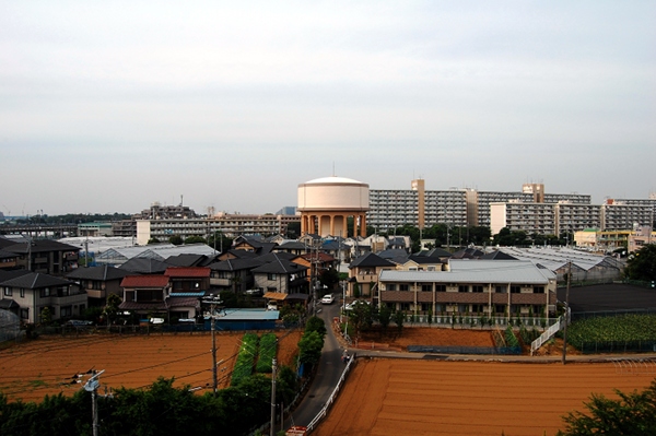 DSC_0152-m