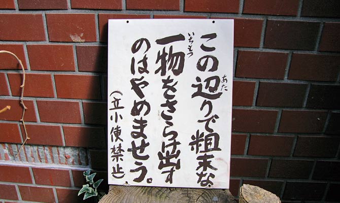 写真3