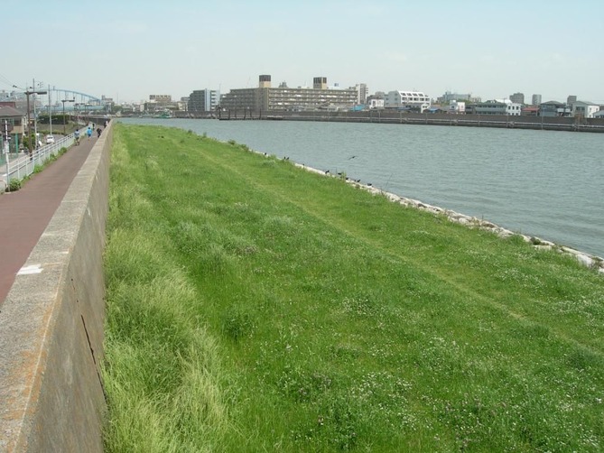 02_旧江戸川