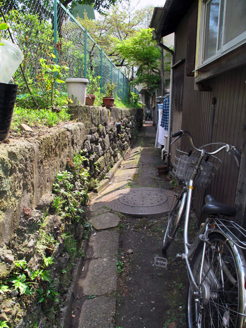 ankyo_10_05