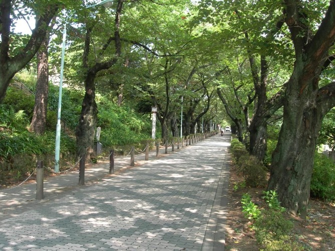 bochishita002