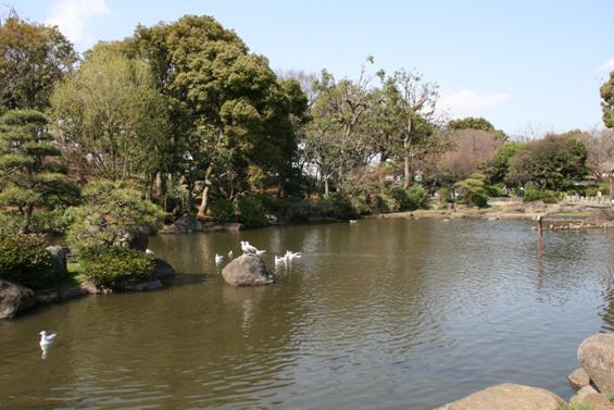 隅田公園