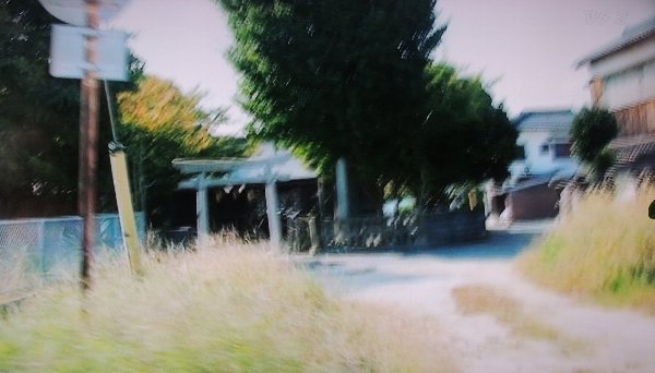 p08
