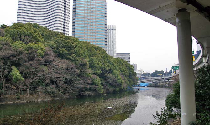 写真3