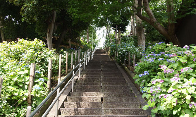 池上本門寺