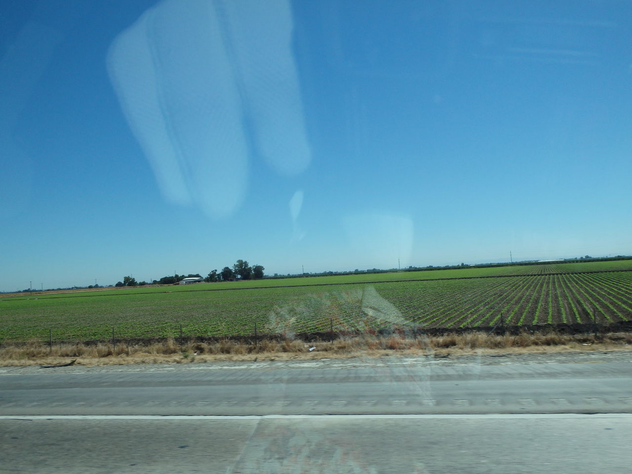 その１５１ ｶﾘﾌｫﾙﾆｱ州tracyからyrekaまで321ﾏｲﾙ 思い出のアメリカ西部の道