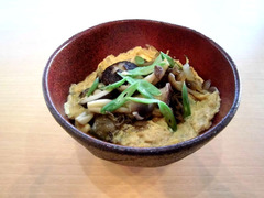 kinokodon