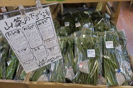 わらび