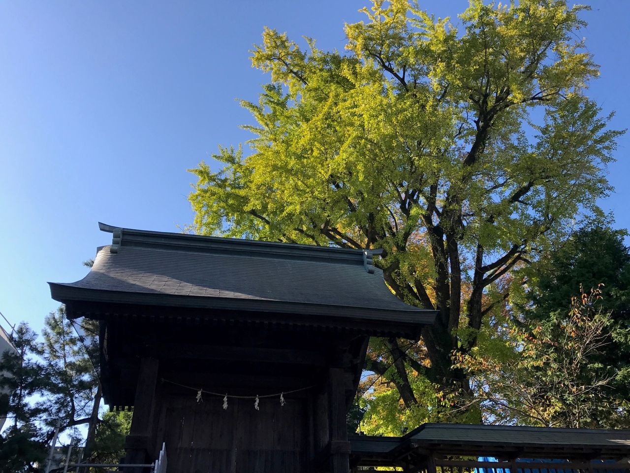 イメージ 7
