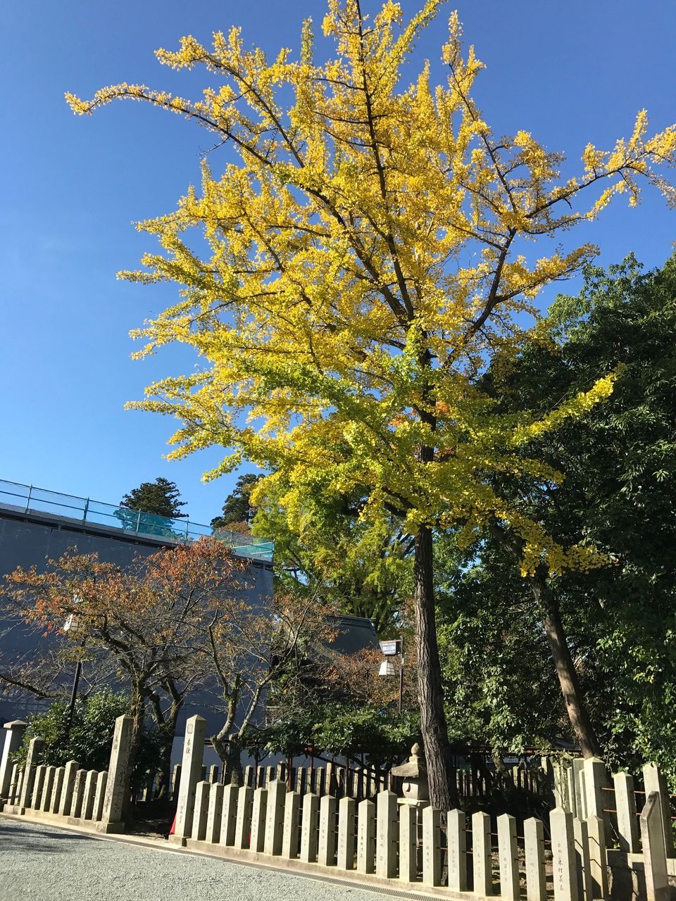 イメージ 2
