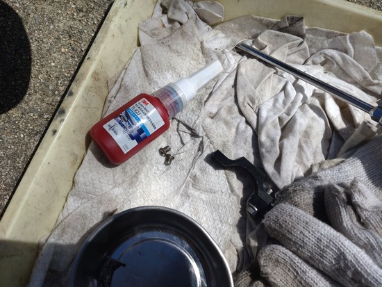 s_2025-05-08DSC_9259