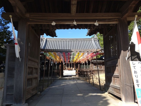 s_2025-10-17DSC_0436