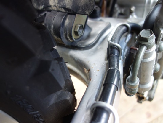 01-s2024-12-29DSC01925