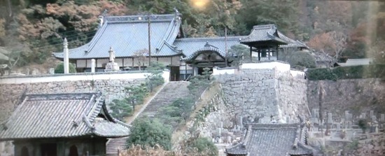 07s2023-05-10DSC_2656