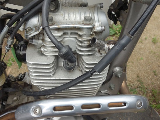 s_2025-06-07DSC02359