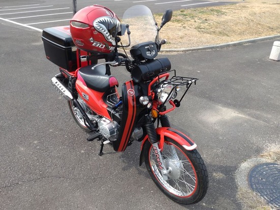 03s2023-03-09DSC_1114