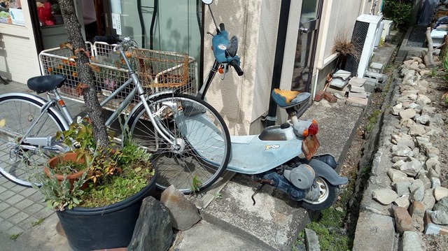 17sp-P_20190529_142206