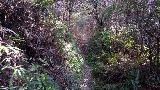 ｓ20210326P_20210326_153028